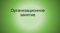 Организационное занятие