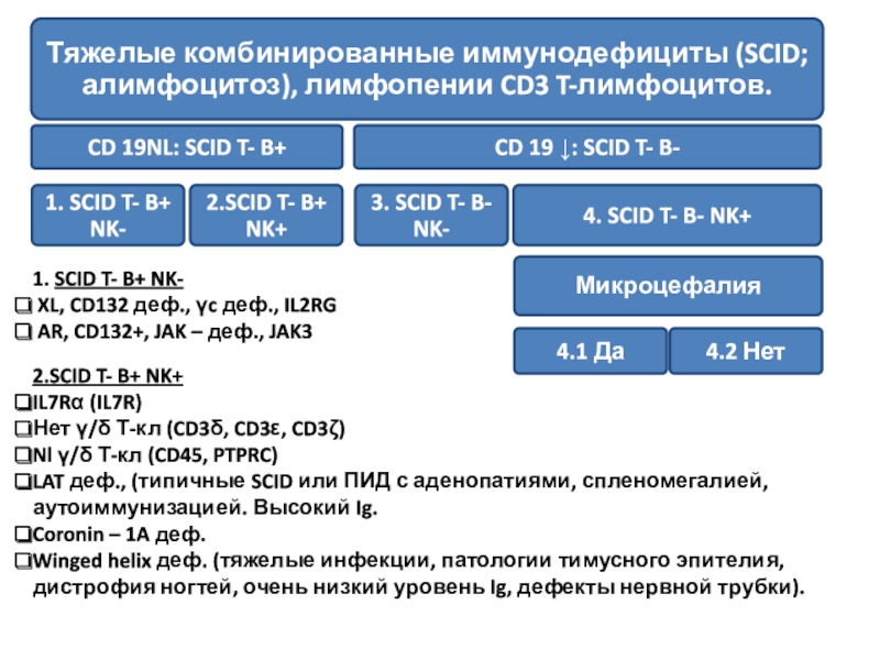 Телефон def