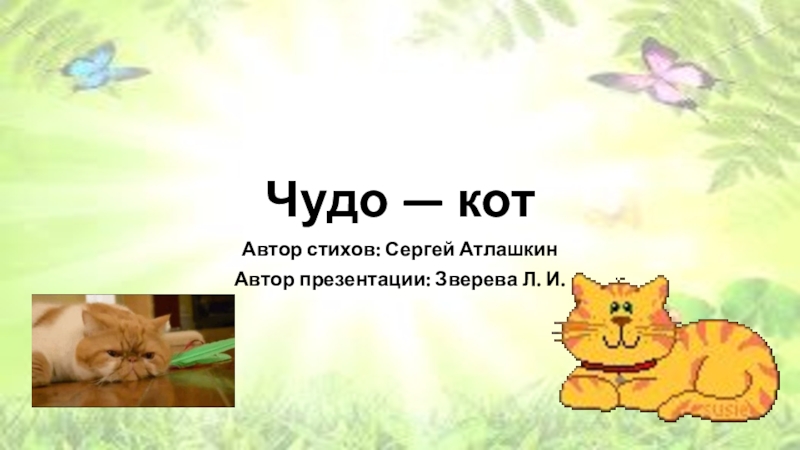 Презентация Чудо — кот