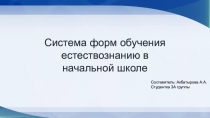 Составитель: Акбатырова А.А.
Студентка 3А группы
Система форм