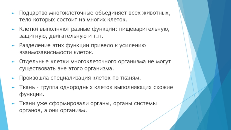 Составьте план конспект текста параграфа подцарство многоклеточные беспозвоночные животные