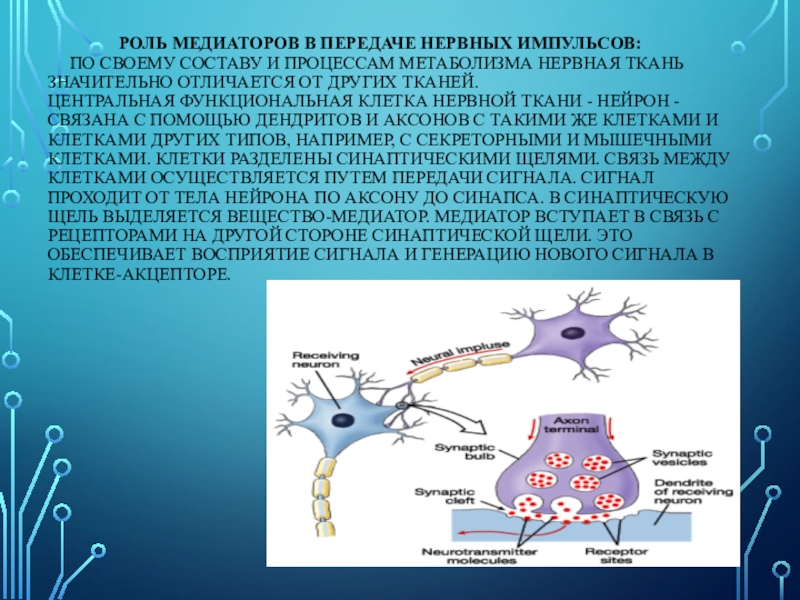 Путь передачи нервного импульса в мозг. Роль нейромедиаторов в передаче нервных импульсов. Роль медиаторов в передаче импульсов. Передача нервного импульса биохимия. Роль кальция в передаче нервного импульса.