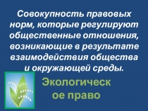 Совокупность правовых норм, которые регулируют общественные отношения,