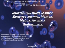Жизненный цикл клетки. Деление клетки. Митоз. Мейоз. Амитоз
