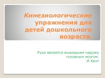 Кинезиологические упражнения для детей дошкольного возраста