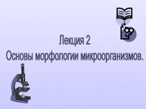Лекция 2
Основы морфологии микроорганизмов