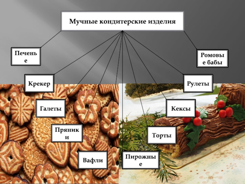 Заполните схему классификации печенья