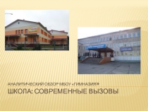Аналитический обзор МБОУ Гимназия  Школа : современные вызовы