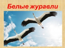 Белые журавли