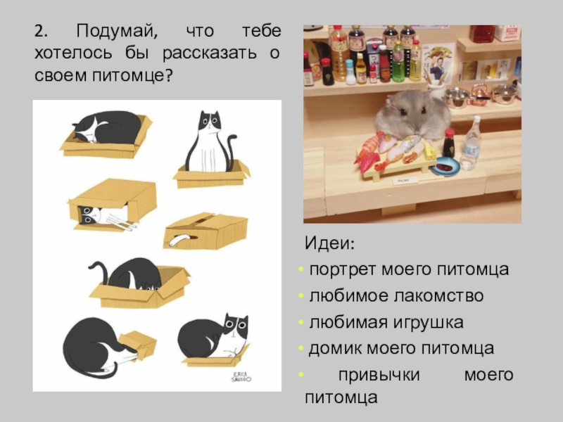 Pet проекты идеи