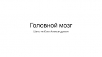 Головной мозг