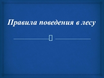 Правила поведения в лесу