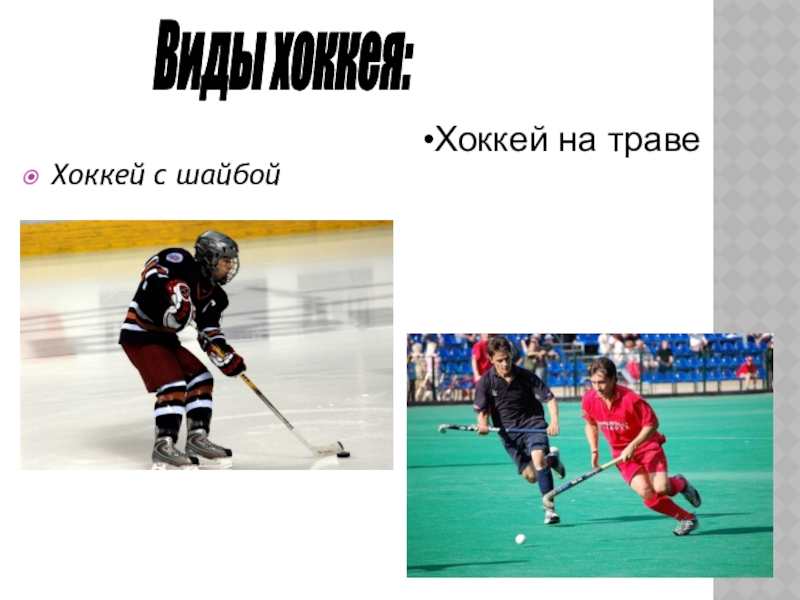 Доклад: Хоккей на траве