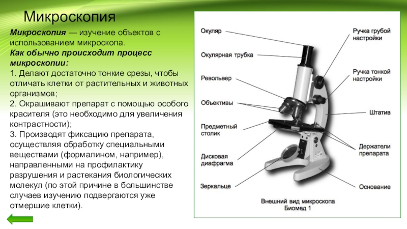Функция револьвера в микроскопе. Световой микроскоп строение макровинт. Строение микроскопа. Макровинт у светового микроскопа. Оптический микроскоп строение.