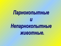 Парнокопытные
и
Непарнокопытные
животные