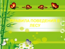 ПРАВИЛА ПОВЕДЕНИЯ В ЛЕСУ
