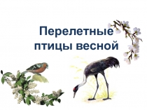Перелетные птицы весной