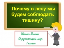 Почему в лесу мы
будем соблюдать
тишину?