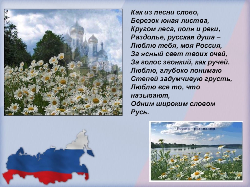 Песня белая березонька святая русь кто поет. Березок юная листва кругом леса, поля и реки Раздолье. Матушка земля белая березонька слова.