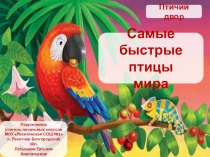 Птичий двор
Самые быстрые птицы
мира
Подготовила
учитель начальных классов
МОУ
