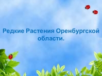 Редкие Растения Оренбургской области