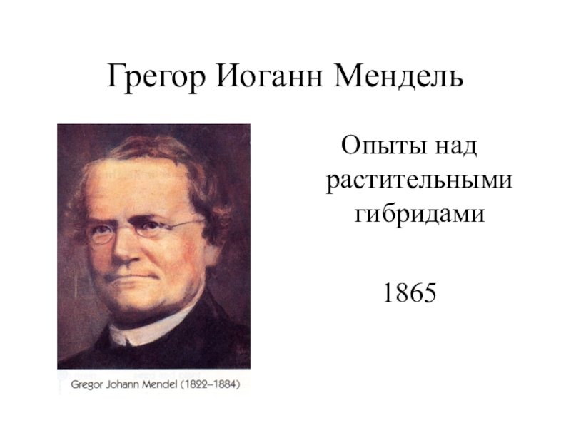 Грегор мендель презентация по биологии 9 класс