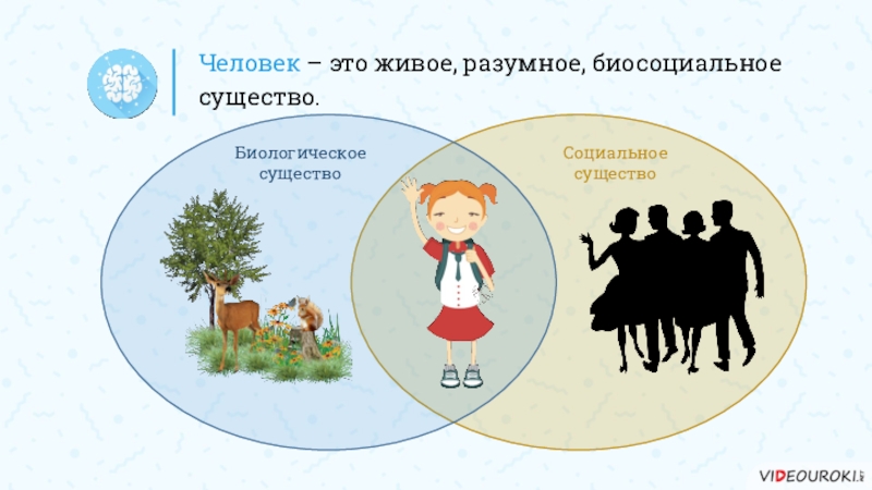 Человек биосоциальное существо. Человек биологическое существо. Человек социальное существо. Человек это социально биологическое существо. Человек биосоциальное существо и социальное.