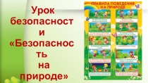 Урок безопасности Безопасность на природе