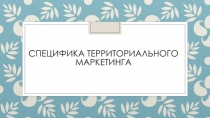 Специфика территориального маркетинга