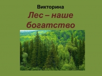 Викторина Лес – наше богатство