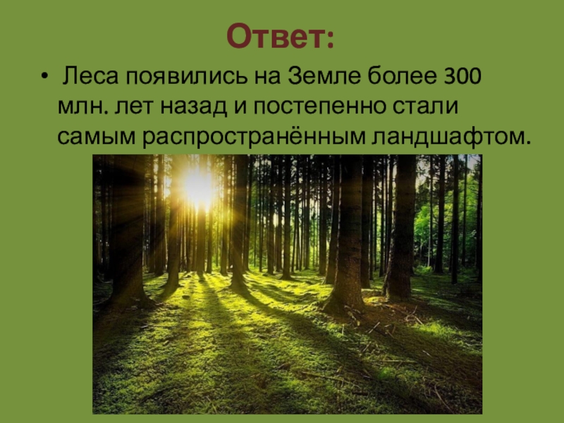 Вопрос ответ лес. Викторина про лес. Викторина о лесе с ответами. Вопросы про лес с ответами. Викторина лес в нашей жизни.