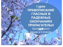 I урок
ПРАВОПИСАНИЕ ГЛАСНЫХ В ПАДЕЖНЫХ ОКОНЧАНИЯХ ПРИЛАГАТЕЛЬНЫХ
Урок русского