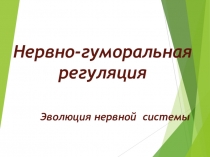 Нервно-гуморальная регуляция