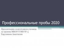 Профессиональные пробы 2020