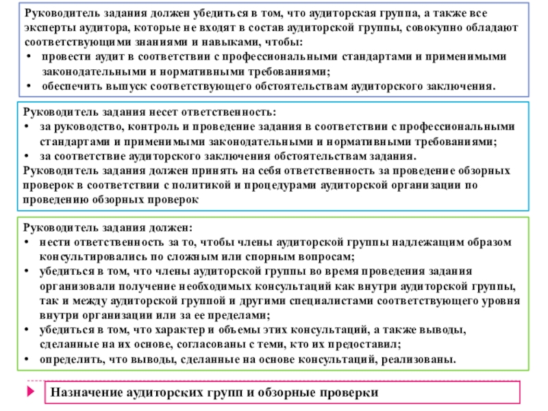 Аудиторская организация согласовывает положения общего плана и программы аудита с руководителем ауди