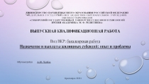 Обучающийся
А.Ю. Чалбаа
Красноярск 2020 г