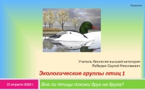 Экологические группы птиц 1