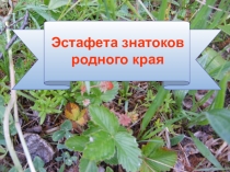 Эстафета знатоков родного края