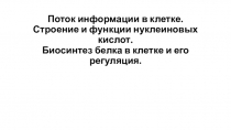 Поток информации в клетке. Строение и функции нуклеиновых кислот. Биосинтез