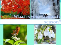 What is your favourite season?