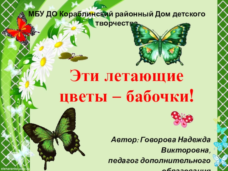 Эти летающие цветы – бабочки!
Автор: Говорова Надежда Викторовна,
педагог
