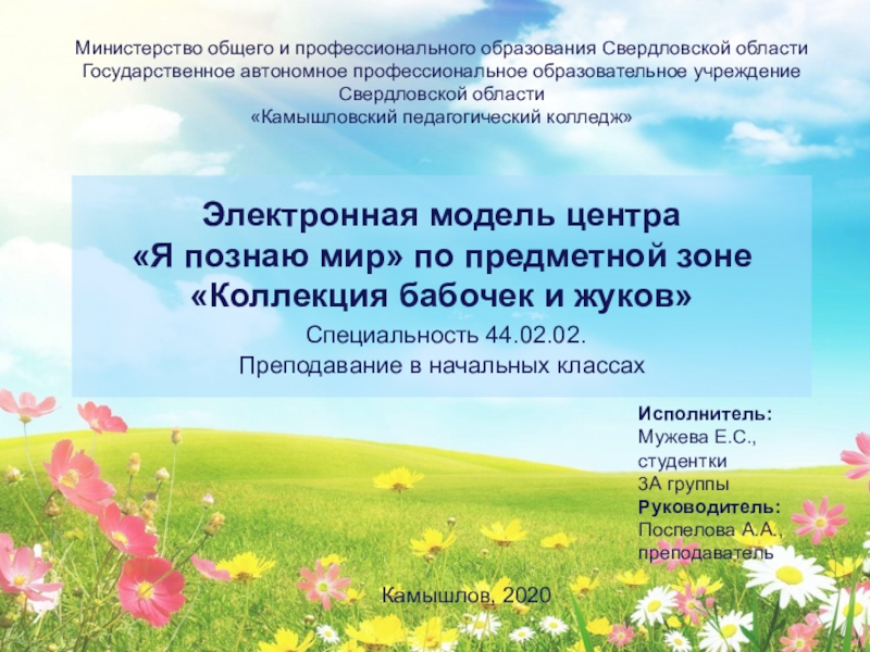 Министерство общего и профессионального образования Свердловской