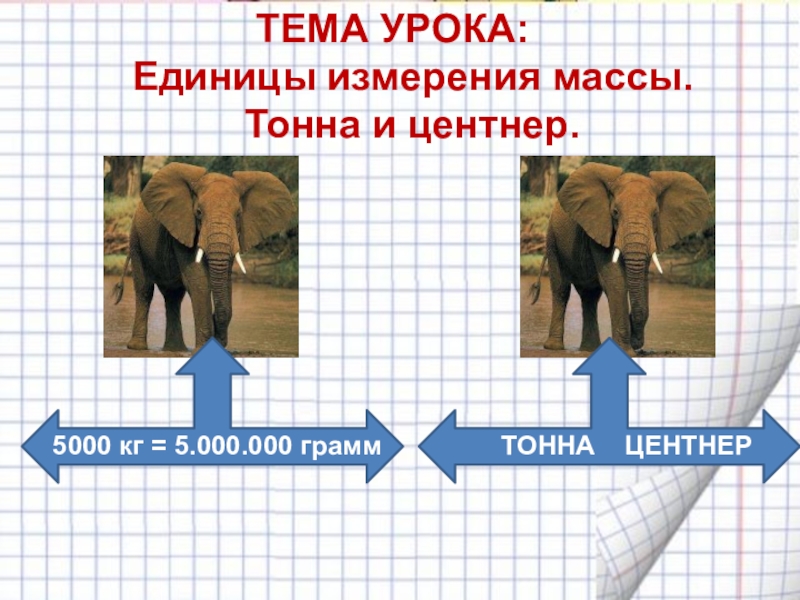 5000 центнер. Единицы массы тонна центнер. Центнер. 5000 Центнеров в тоннах.