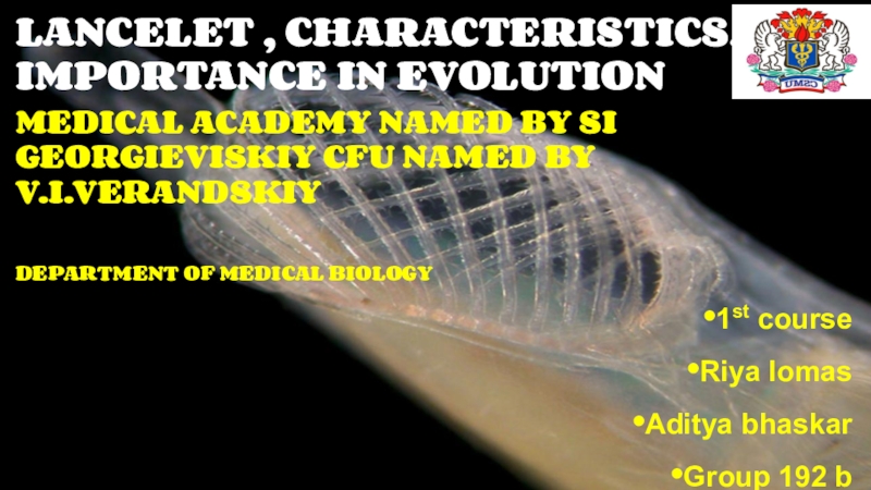 Презентация LANCELET, CHARACTERISTICS, ITS IMPORTANCE IN EVOLUTION
MEDICAL ACADEMY NAMED BY