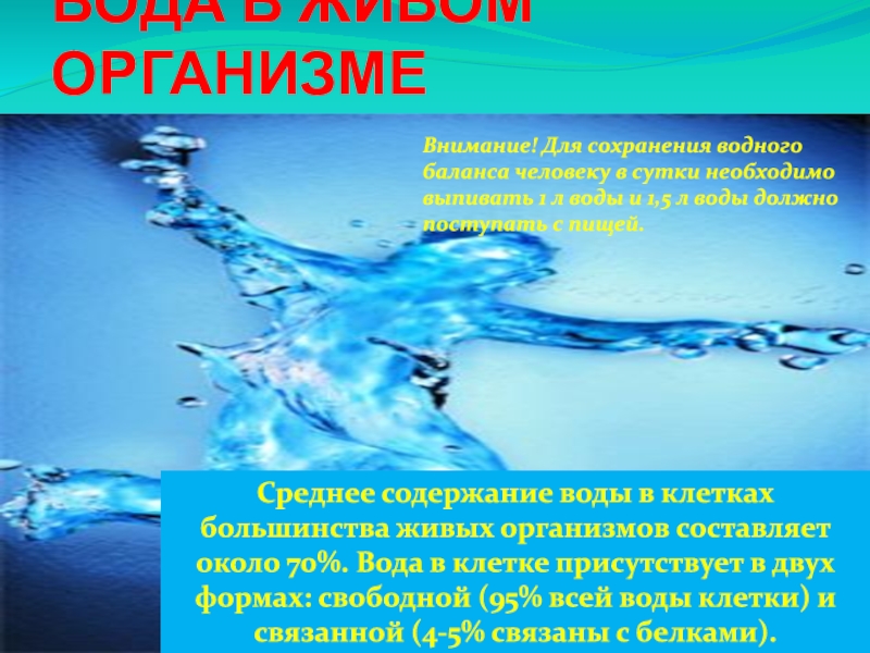 Вода 70. Вода основа жизни картинки. Вода основа жизни на земле проект. Презентация для детей вода основа жизни. Вода основа жизни Естествознание.