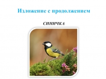 Изложение с продолжением СИНИЧКА
