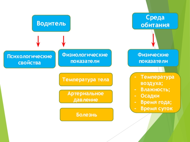 Циклы предметов. Предметы по циклам. Циклы предметов в школе. Базовый цикл ЭФТ. Психологическое давление на водителя.