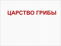Царство Грибы