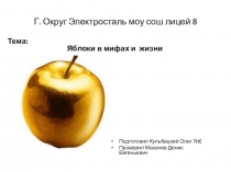 Г. Округ Электросталь моу сош лицей 8