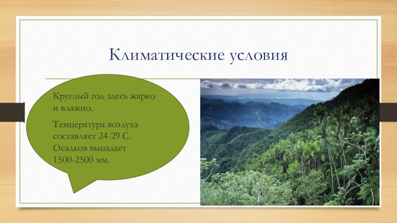 Круглый год здесь жарко и влажно. Климатические условия в тропиках. Климатические условия тропического пояса. Жизнь людей в тропическом климатическом поясе. Загадки на тему тропический пояс.